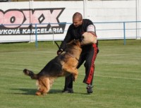 /album/fotogaleria/a18-jpg/