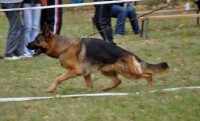 /album/fotogaleria/a136-jpg/
