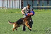 /album/fotogaleria/a521466-369863146405341-176782059046785-1084115-141113042-n-jpg/