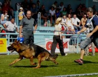 /album/fotogaleria/hari-pohyb01p-jpg/