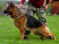 /album/fotogaleria/hhh-jpg/