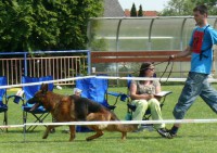 /album/fotogaleria/p1620170-jpg/