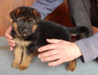 /album/fotogaleria1/dscn1425-jpg/