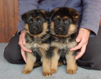 /album/fotogaleria1/dscn1509-jpg/