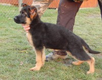 /album/fotogaleria-photos1/a12476677-1086420041419114-886884709-o-jpg/