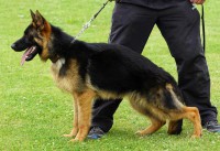 /album/fotogaleria-photos1/a13410703-1195592923807391-2110128421-o-jpg/