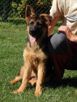 /album/fotogaleria-photos3/etn-jpg/