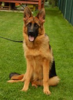 /album/fotogaleria-photos3/dscn3875-jpg/