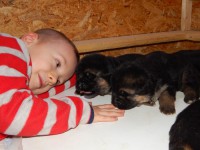 /album/a13-days/dscn7562-jpg/