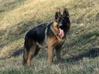 /album/a4-mohnts/img-8325-jpg/