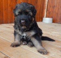 /album/a4-tyzdne-4-weeks1/dscn0080-jpg/