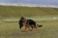 /album/trening-training/a1606955-641493735908946-16335235-n-jpg/